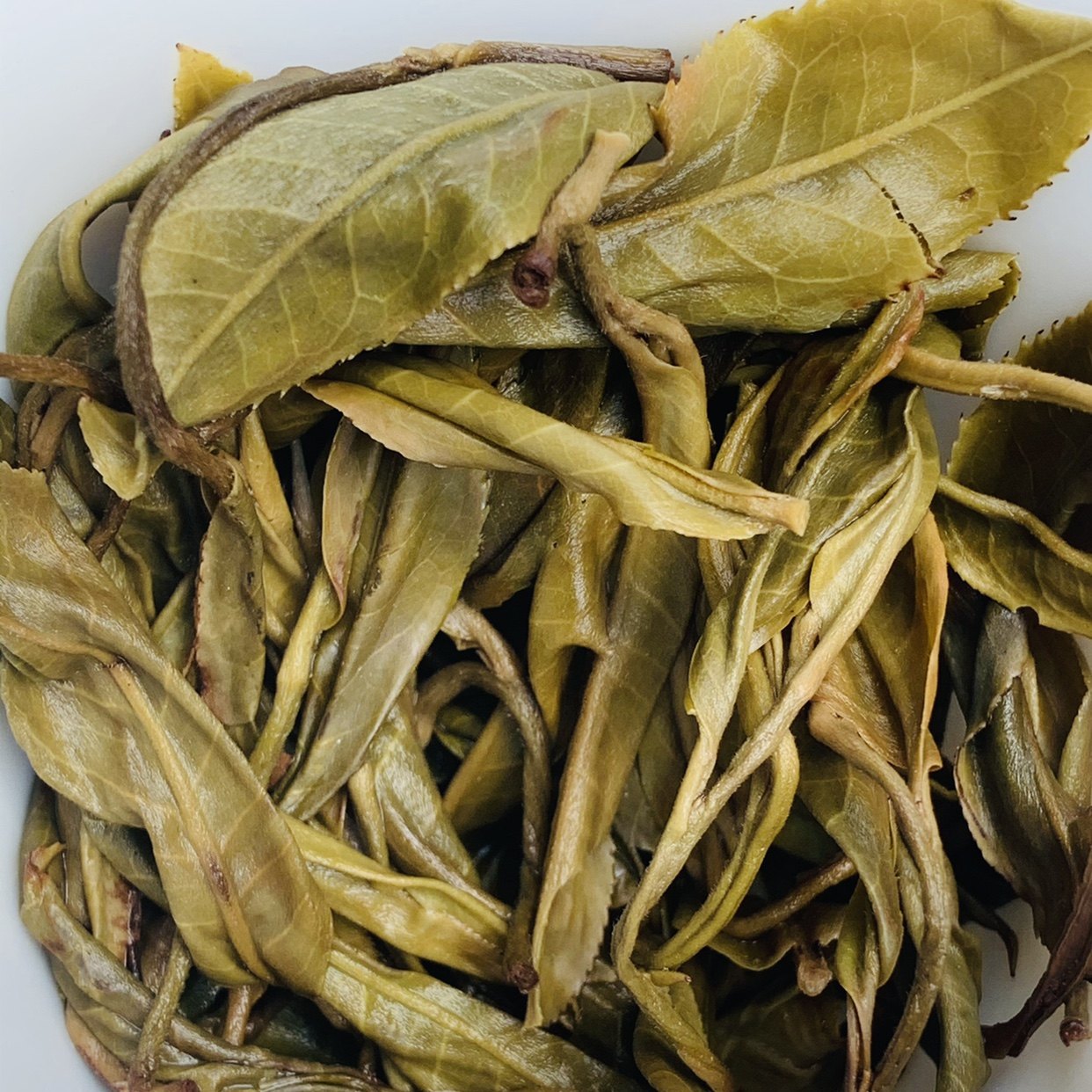 麒麟普洱茶生茶微苦蜜韵古树私房珍藏茶叶包装