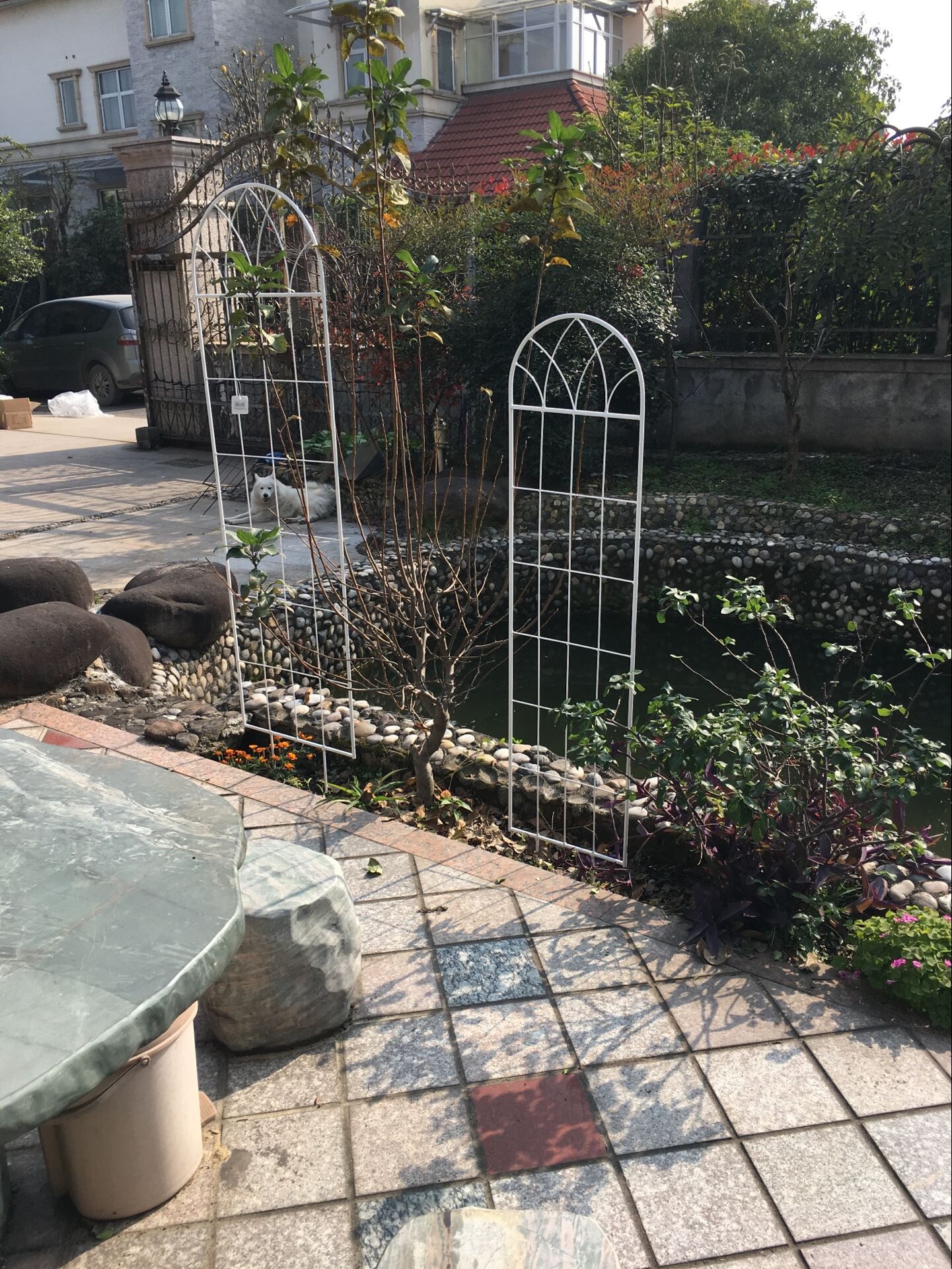 现货简易室外花插植物爬藤架子支架铁线莲铁艺花架