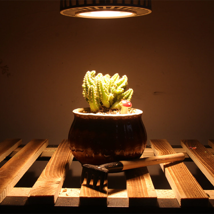 植物led生长全光光谱par灯多育苗盆栽种植植物生长灯