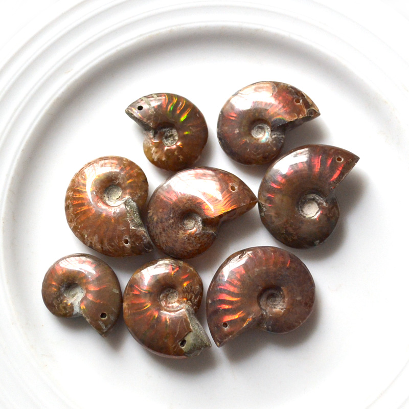 天然斑彩彩玉化螺原石吊坠项坠聚财转运螺挂项坠