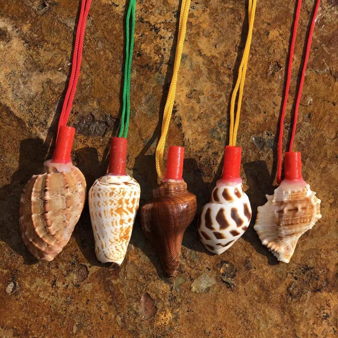 贝壳天然大海海螺口哨号角可吹儿童玩具生日礼物海螺