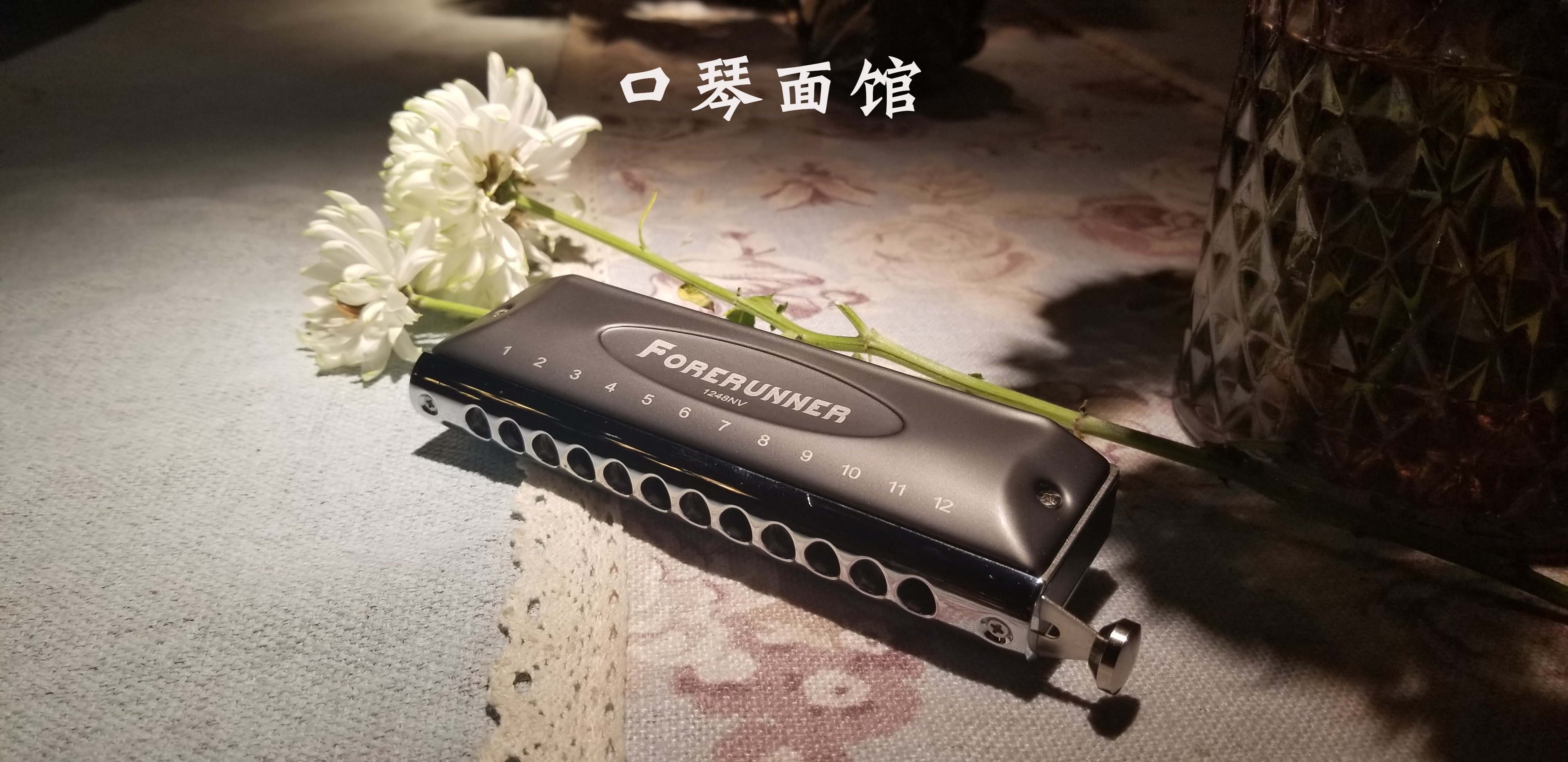 口琴面馆东方鼎先行者无膜半音音阶12孔入门口琴