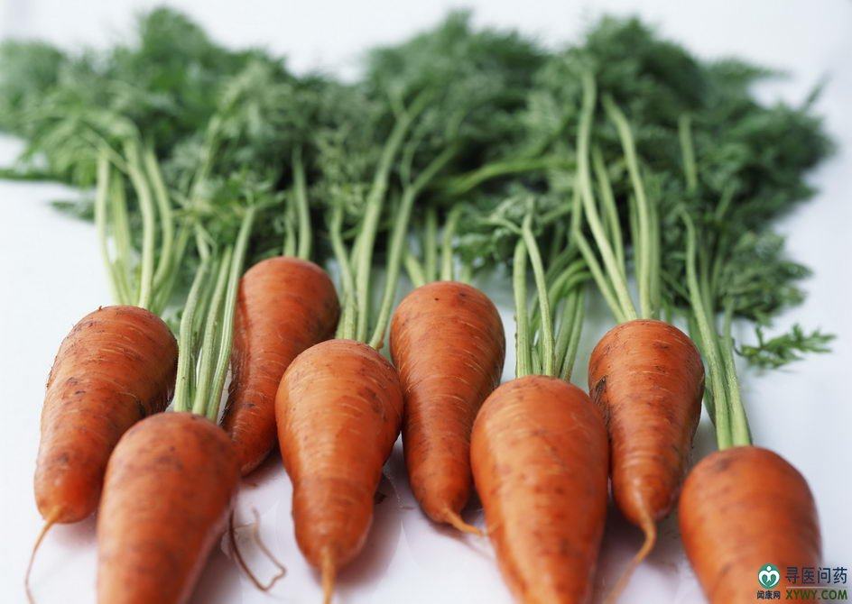 手指小胡胡萝卜红卜摆盘小萝卜babycarrtwithleaves其它