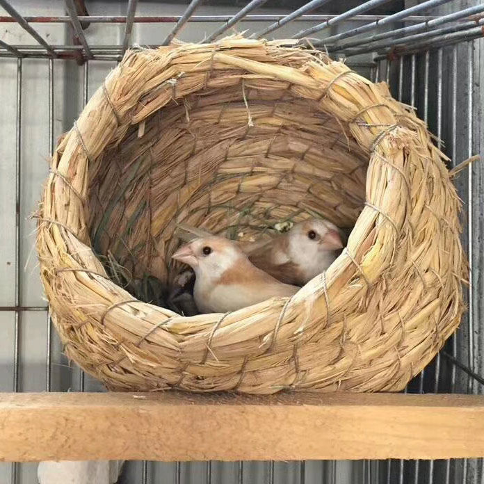 鸟窝草编冬天保暖鹦鹉玄凤文鸟珍珠繁殖保温其他