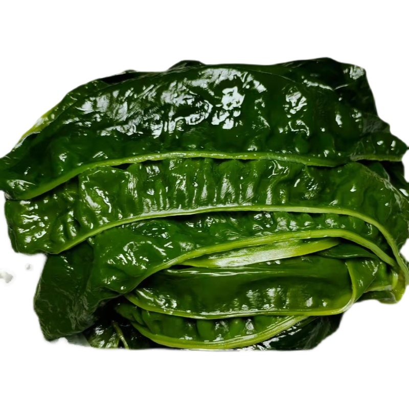 裙带盐渍菜叶海藻海鲜凉拌拌菜海带海带海白菜裙带菜