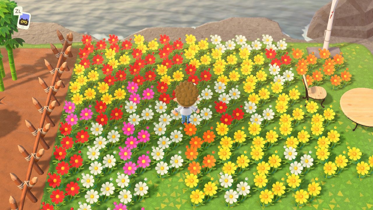 森友铃兰金玫瑰异色稀有动物森花波斯三色nsamiibo