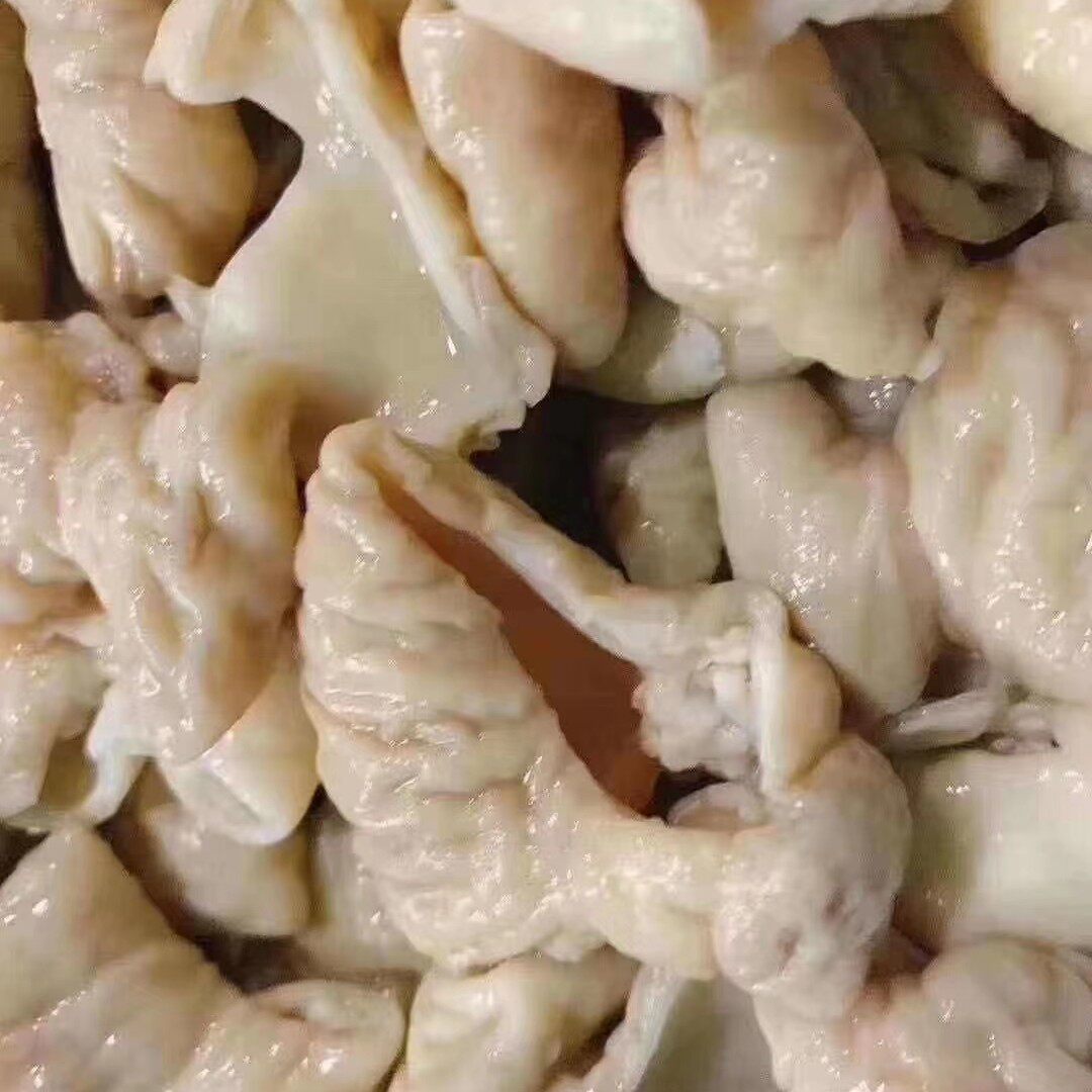 大肠免切洗去油肥肠熟冻猪满园白水1kg5包生猪肉