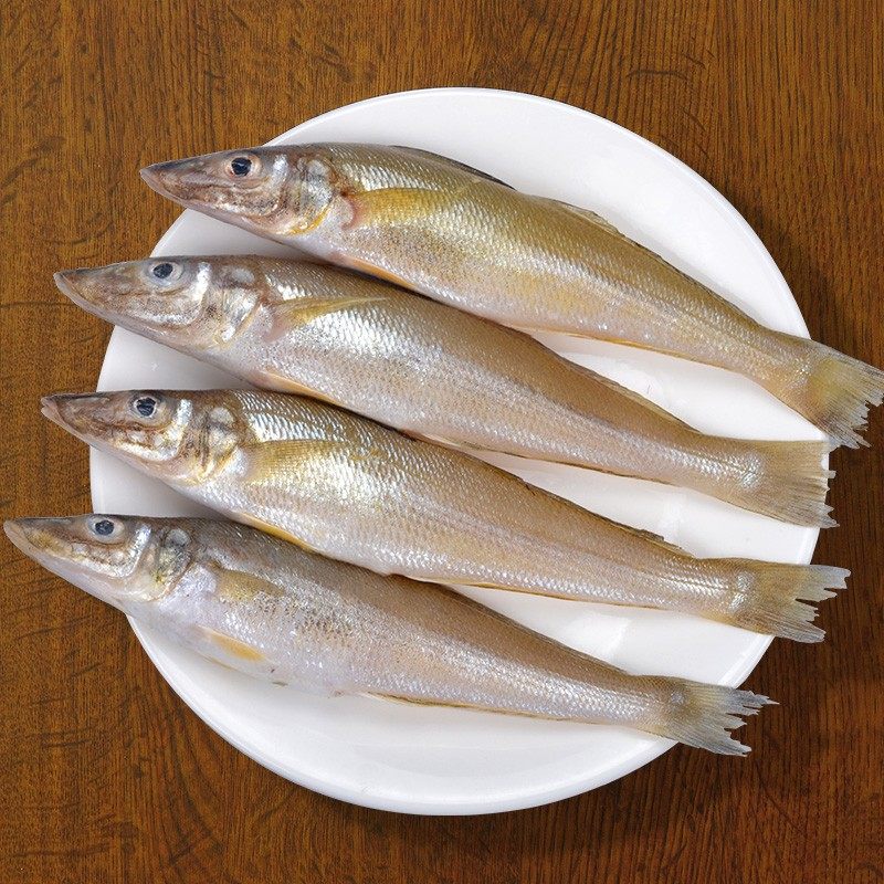 青岛沙丁鱼净重4斤新鲜大个海野生深海海鱼黄尖其它