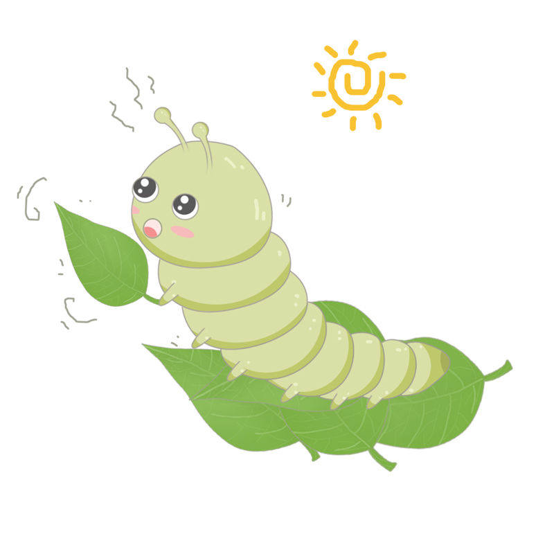 桑叶龄蚕食物现摘农家新鲜蚕宝宝饲料1斤2斤蚕宝宝