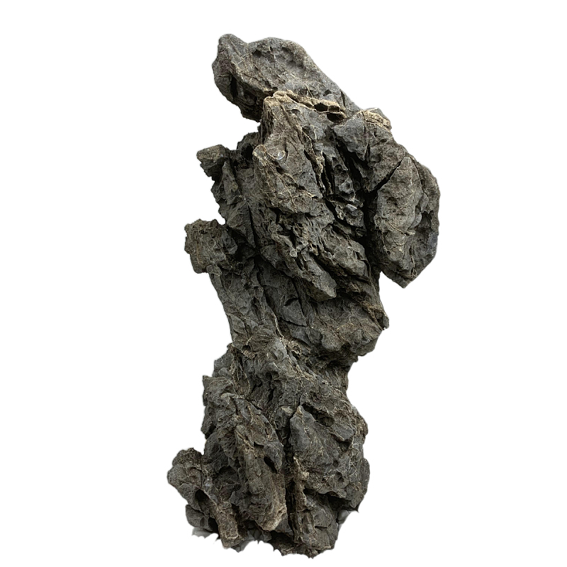 青龙石造景石假山天然石头树抱石附树石盆景摆件造景