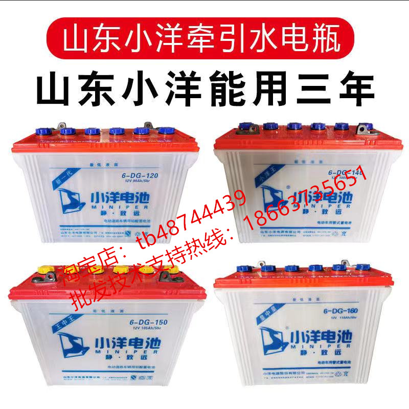 正品小洋电池120a180a电动电动车车水电瓶6dg150电动汽车电动车电池
