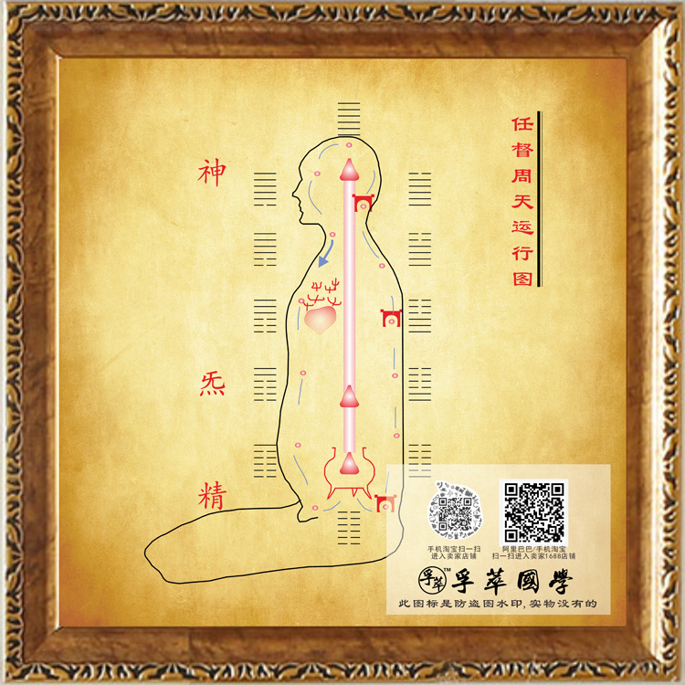 任督周天运行图中医道教任督两周易易经修道修身养性现代装饰画