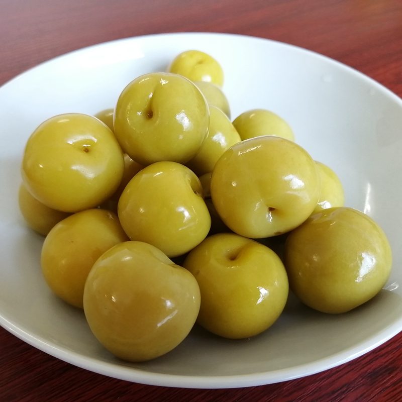 李子广西城隍发记酸料腌制米李酸嘢酸野水果李子