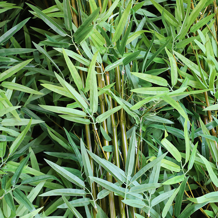 仿真竹子假竹子室内装饰竹子隔断细水竹干竹子客厅竹子青竹子