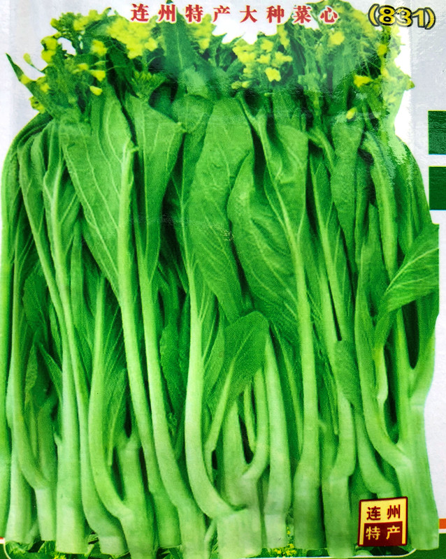 菜心广东白菜芯连州甜菜苔种子四季四九耐寒家庭园艺种子