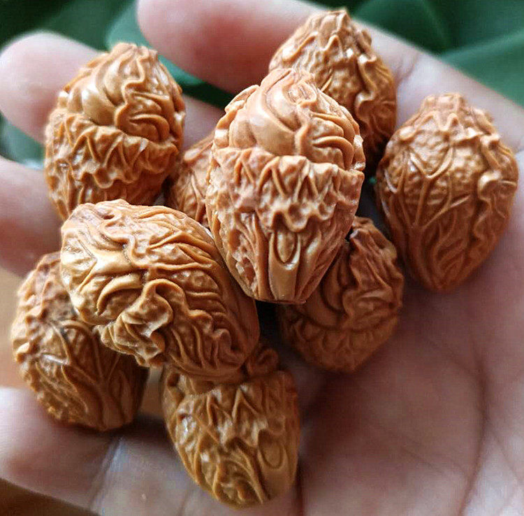 橄榄核手串白菜核雕百财招财苏工纯手工工大文玩手链