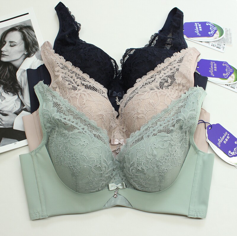 西维娅s61611文胸记忆软钢钢圈桑蚕蚕丝定型薄模杯文胸