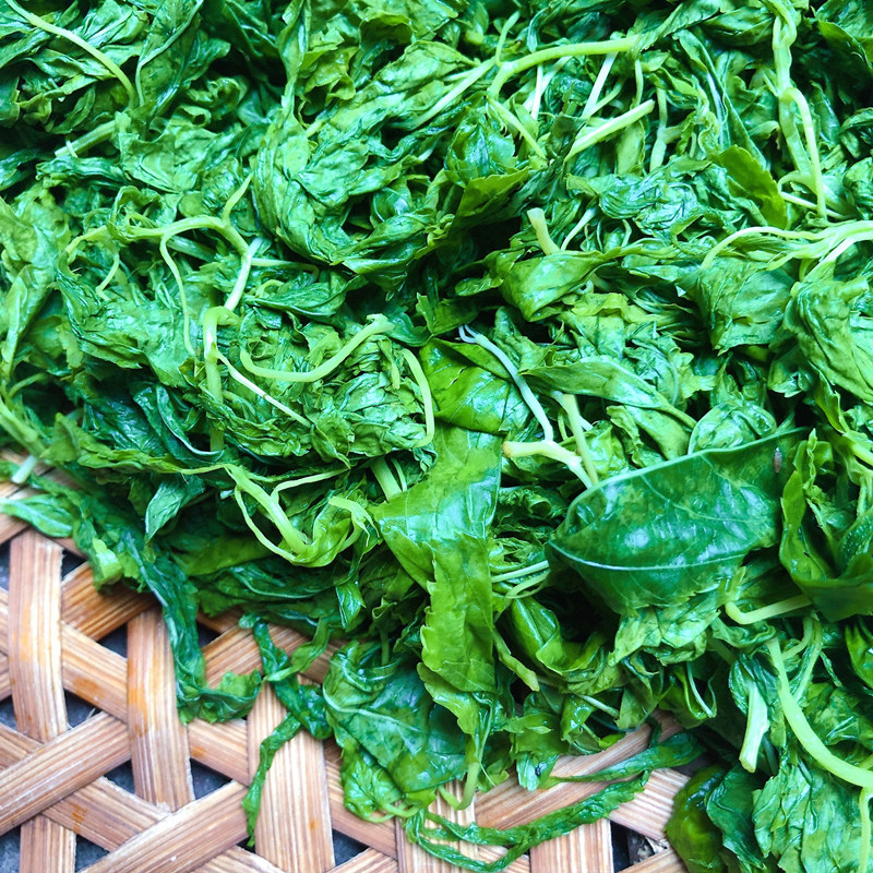 麻叶新鲜潮汕潮阳特产蔬菜半成品精选特制500g其它