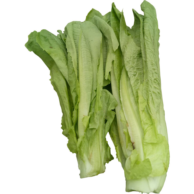 都江堰农家菜园新鲜时令蔬菜窝笋尖凤尾莴笋叶莴笋尖1件发5斤包邮