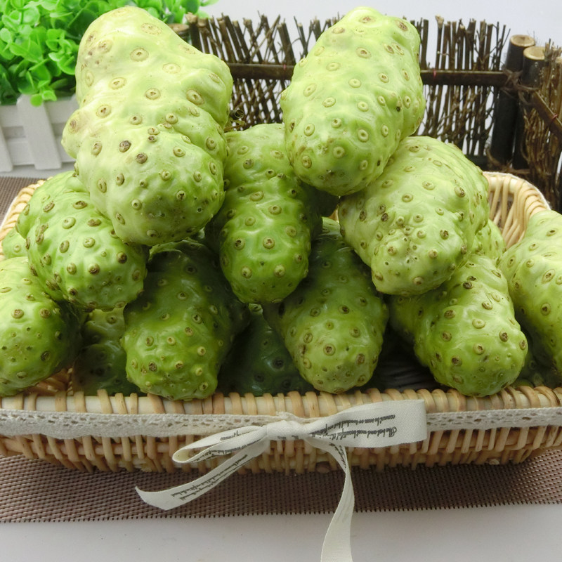 5斤装新鲜采摘海南三亚诺丽果诺尼果酵素液原料水果实