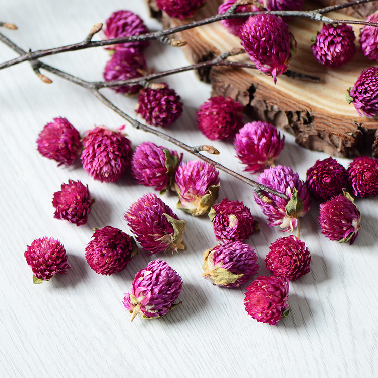 干花千日红天然植物花头千日创意花环手作材料干花