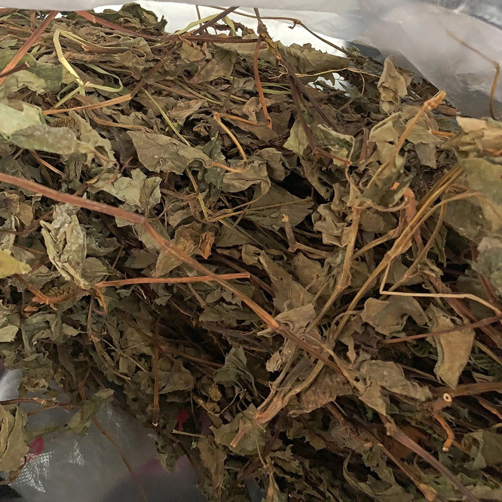 鱼腥野生草干泡茶煲汤干货8月晒干新货纯天然鱼腥草