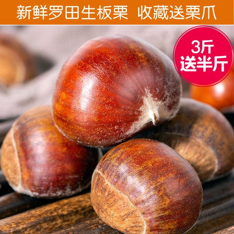 板栗今年新货新鲜罗田红壳易剥现摘现发生毛油甘即食板栗