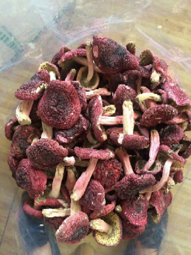 正宗红菇干品250g福建特产特级中菇红蘑菇姑娘其它干货