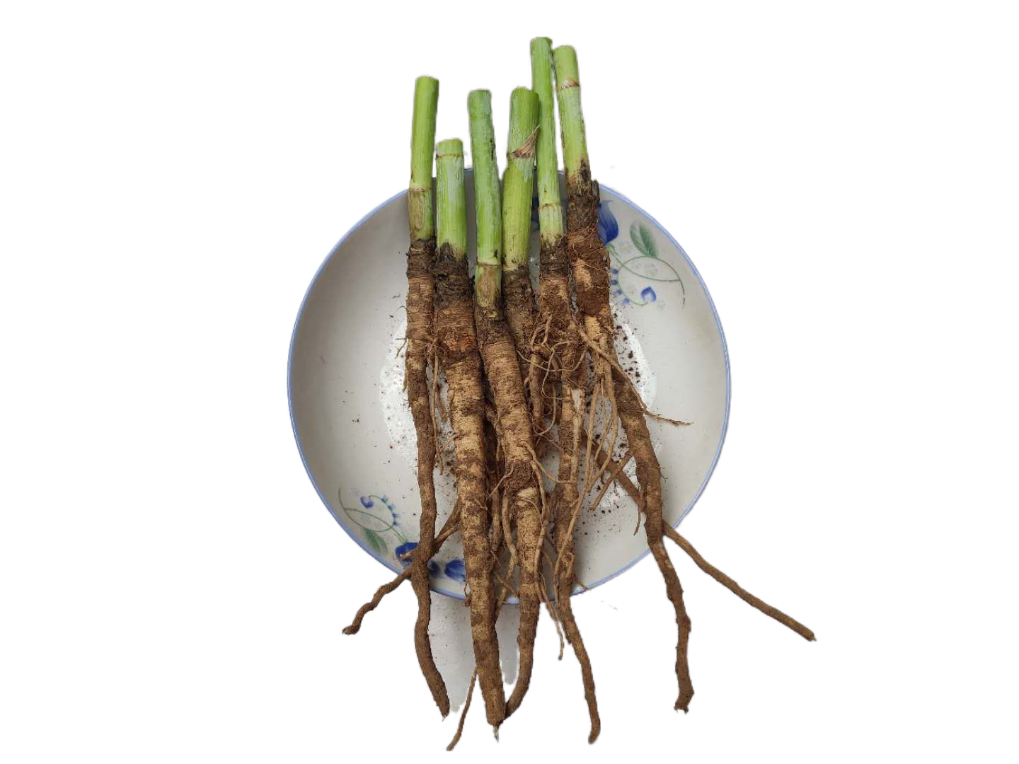 茴香农家自种新鲜产地地直小茴香根谷香根中药材其他药食同源食品