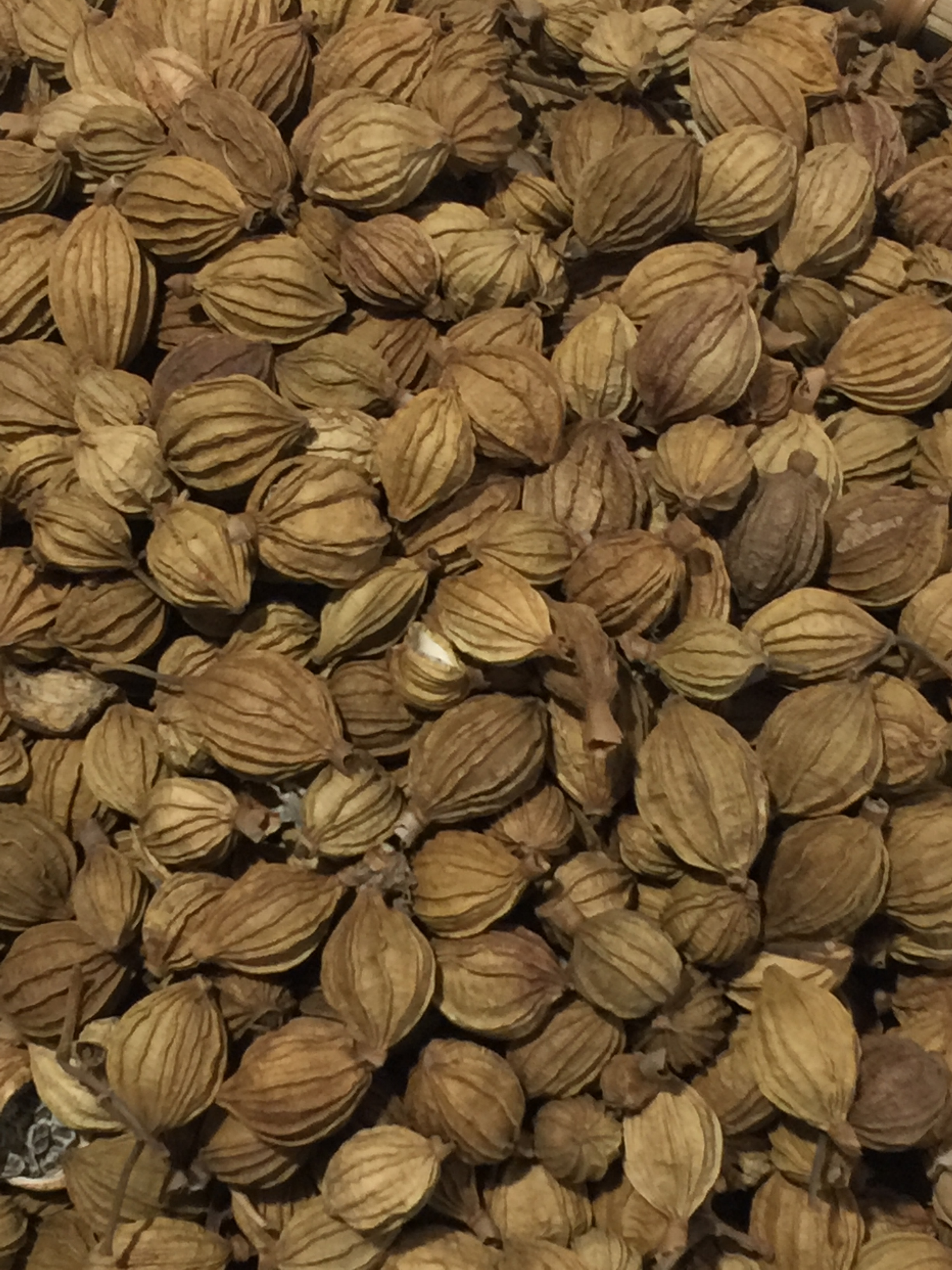 四川香砂克金砂仁沙仁香料卤料包花椒