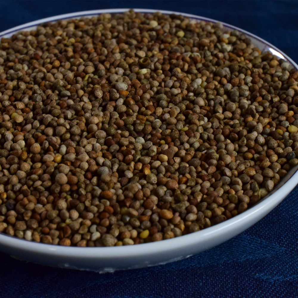 新货苏籽500克紫苏东北延边食用榨油烧烤调料花椒