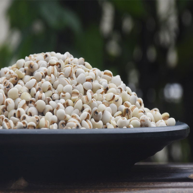米仁薏苡缙云土薏薏米原生态500克特产薏米