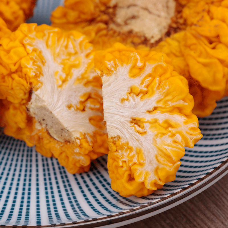 新鲜金耳菌黄金耳银耳黄耳菌云南特产野生新鲜蘑菇食用菌500g