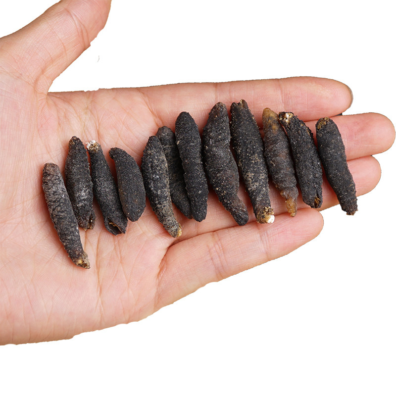 100只1元1只野生淡干小海参干货螺纹参龙纹参微刺参特价海鲜产品