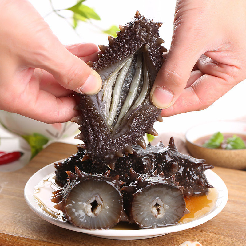 渔食客即食海参500g大连海参非干海参新鲜刺参野生单个装辽参特价