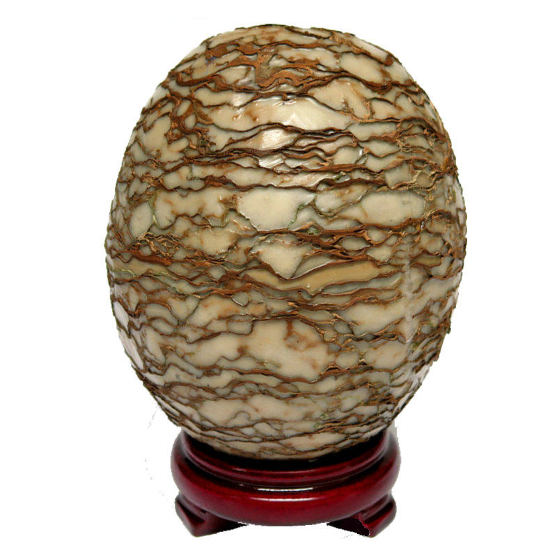 石蛋包邮天然原石结核恐龙树皮化石家里庭居摆件