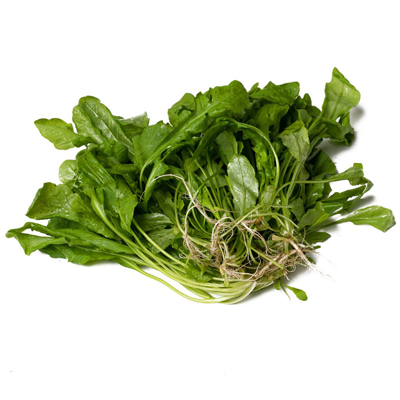 新鲜大叶荠菜500g冷冻饺子子云混沌当季现采荠菜