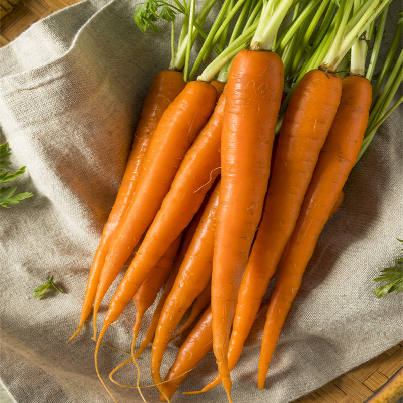 彩色小萝卜500g新鲜紫色黄色三色即食摆盘水果其它