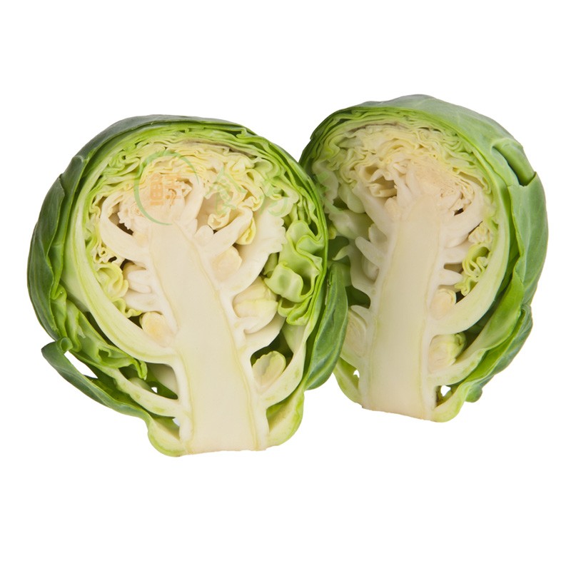 甘蓝孢子新鲜食用500g包邮迷你包菜brusselssprout其它