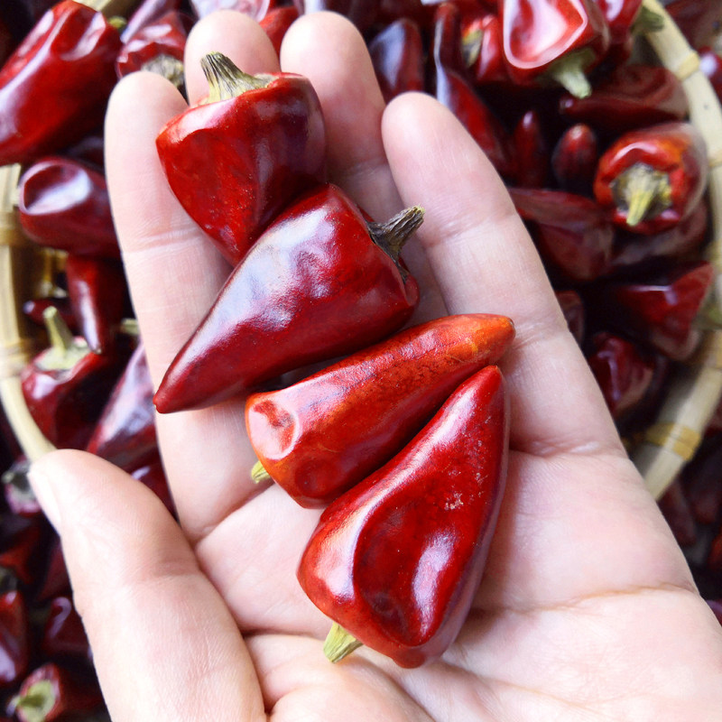 四川子弹头辣椒250g微辣超香朝天红海辣子子鸡辣椒类调料