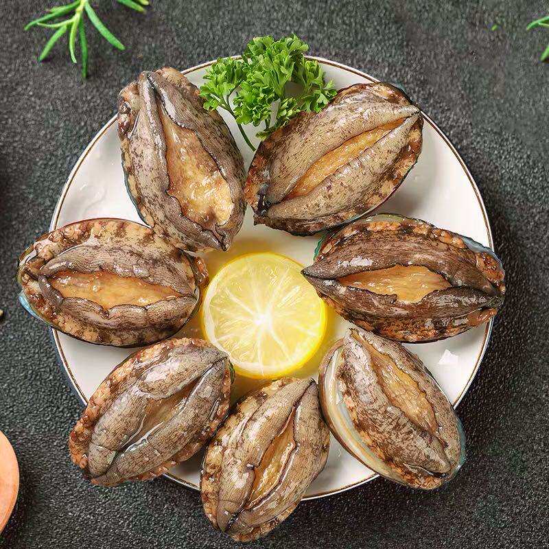 鲍鱼鲜活大个特大新鲜黑金金大10头活体500g鲍鱼