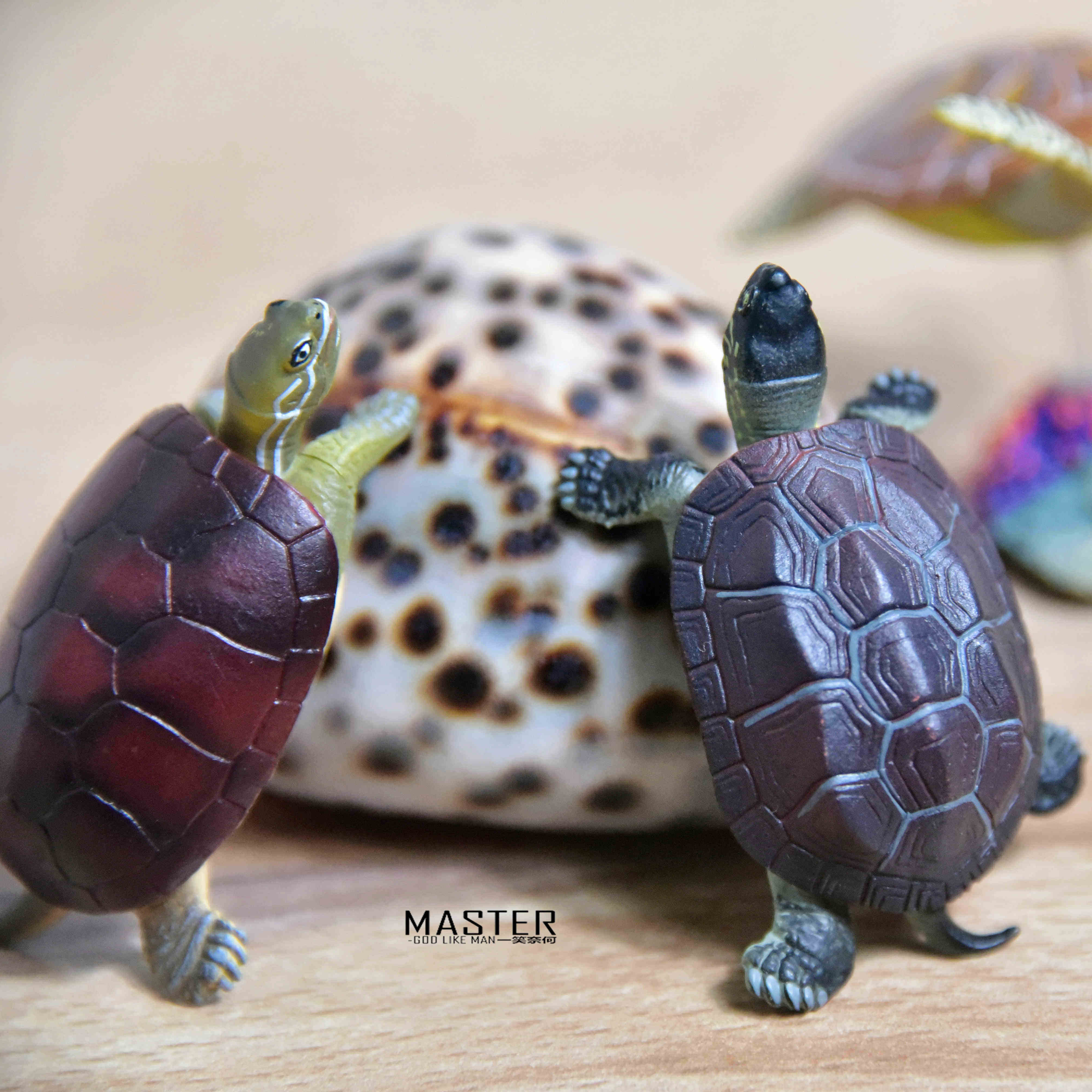 原单扭蛋乌龟海龟草龟海洋生物动物仿真模型摆件潮玩盲盒