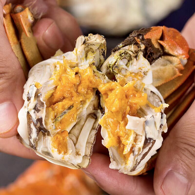 岳阳食用水产湘阴龙湖大闸蟹螃蟹鲜活全母3两大闸蟹