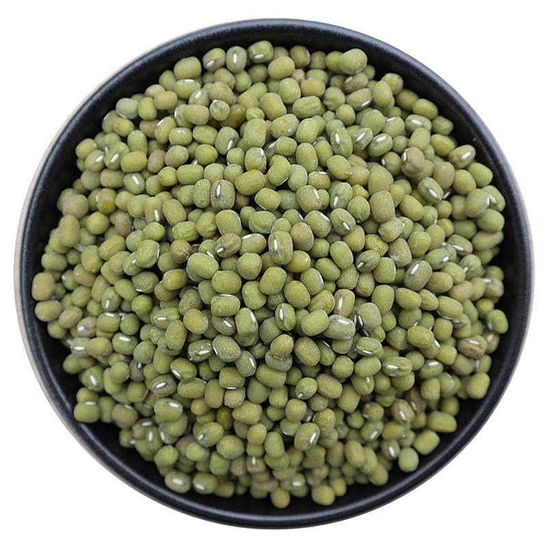 绿豆新货山东毛绿豆500g农家自种杂粮发芽带皮绿豆