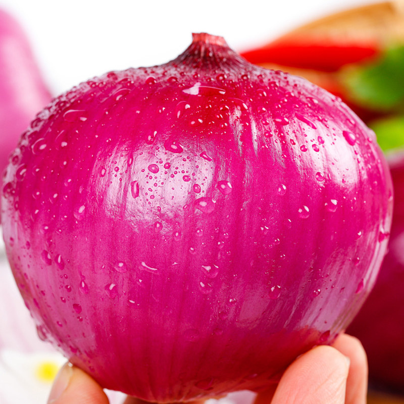 云南紫皮水果洋葱新鲜10斤批发甜味生吃不辣葱类