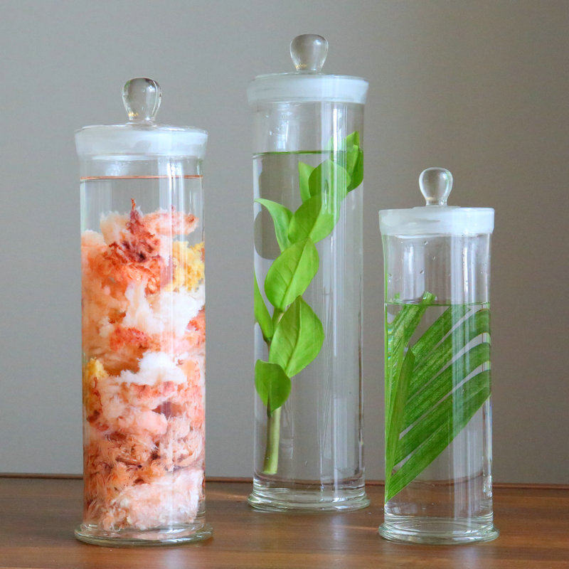 磨砂中药材展示瓶广口实验室标本加厚透明玻璃样品密封罐