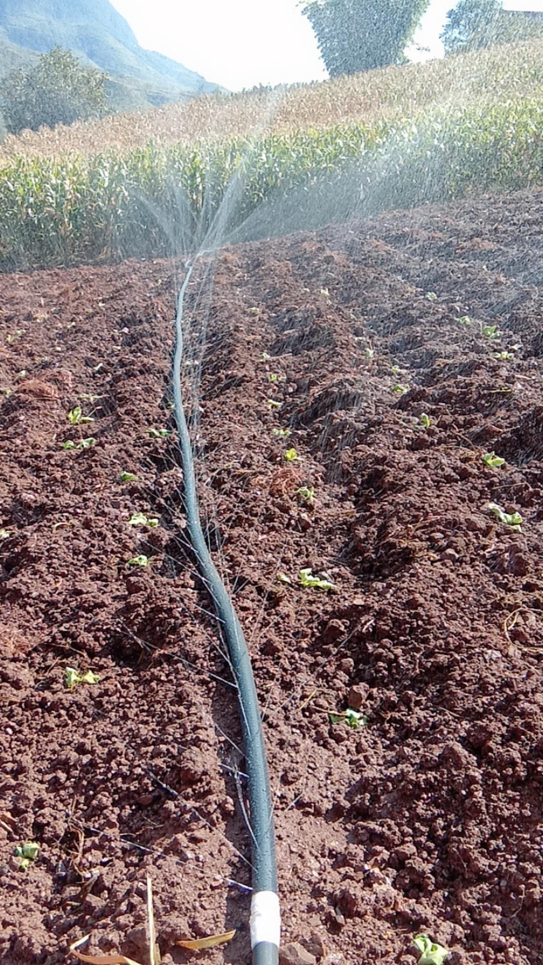 进口农用水管6分滴灌配件1寸喷灌滴管管带自动灌溉设备
