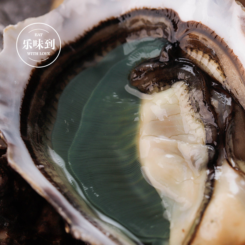 法国空运原装布锐琪绿宝石生蚝n1n212只翡翠生蚝