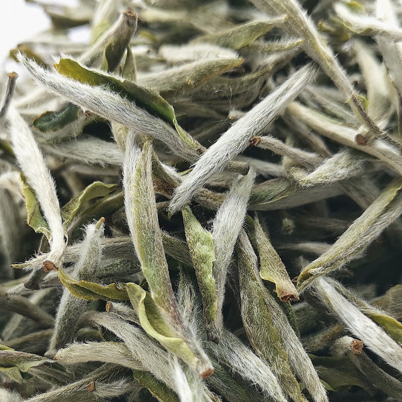 2020年明前日晒磻溪高山春茶特级福鼎白茶白银针白毫银针