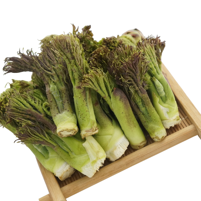 刺嫩芽保鲜山野菜野生山菜蔬菜刺老芽刺龙芽东北山菜蘸酱菜2.5kg